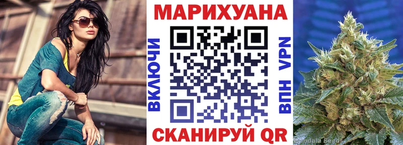Шишки марихуана Bruce Banner  Циолковский 